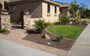 front yard Arizona Landscape Design